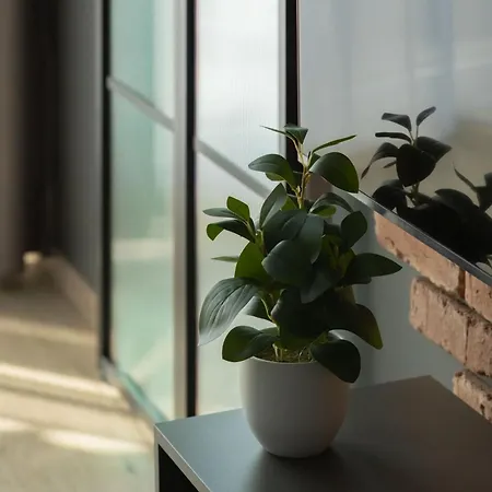 Baltic Waves W Miedzyzdrojach Blisko Plazy & Parking By Renters Апартаменты *